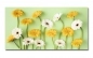 Preview: Spritzschutz Küche Acrylglas Gelb Weiße Blumen