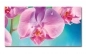 Preview: Spritzschutz Küche Aluverbund Orchidee