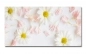 Preview: Spritzschutz Küche Acrylglas Blumen