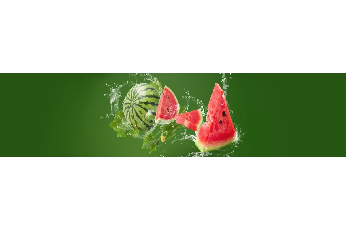 Küchenrückwand Wassermelonen Splash