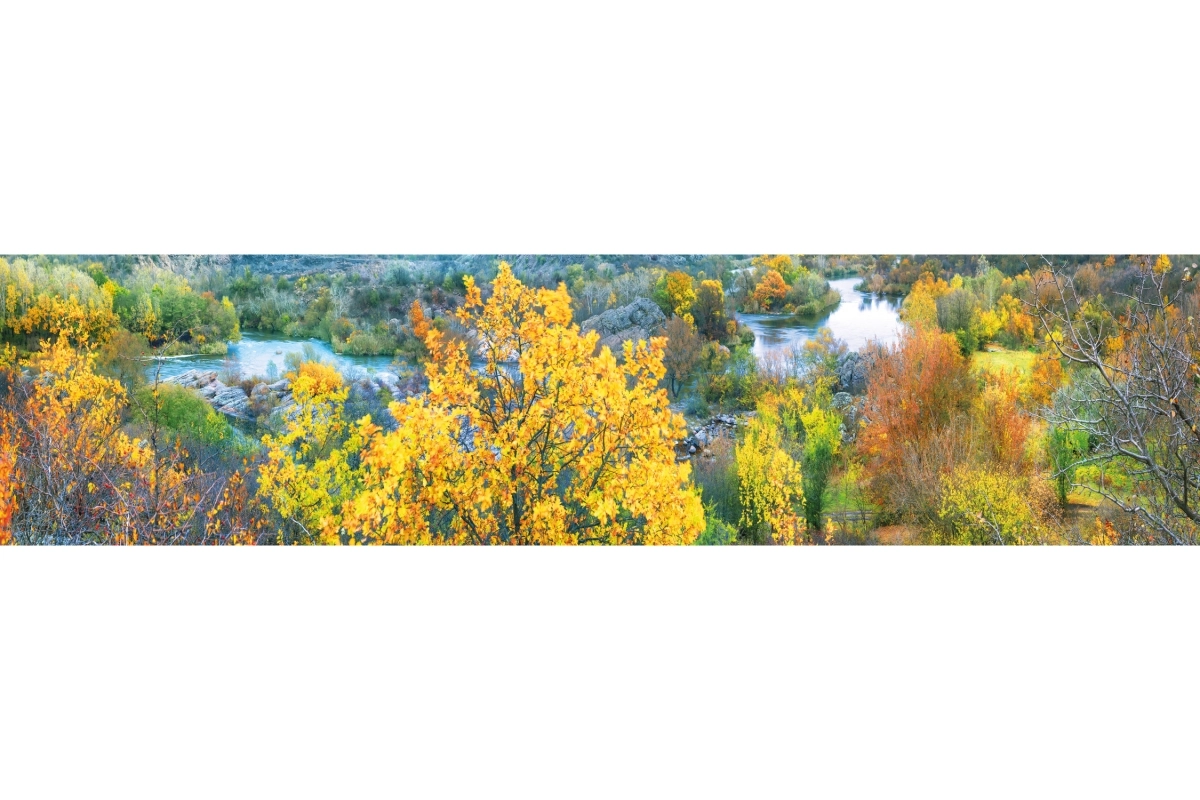 Küchenrückwand Hartschaumplatte Natur Herbst Fluss