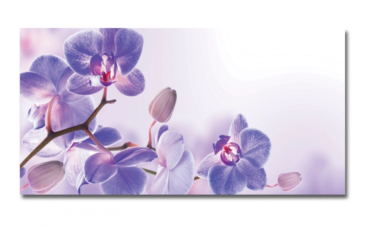 Spritzschutz Küche Acrylglas Tropische Orchideen