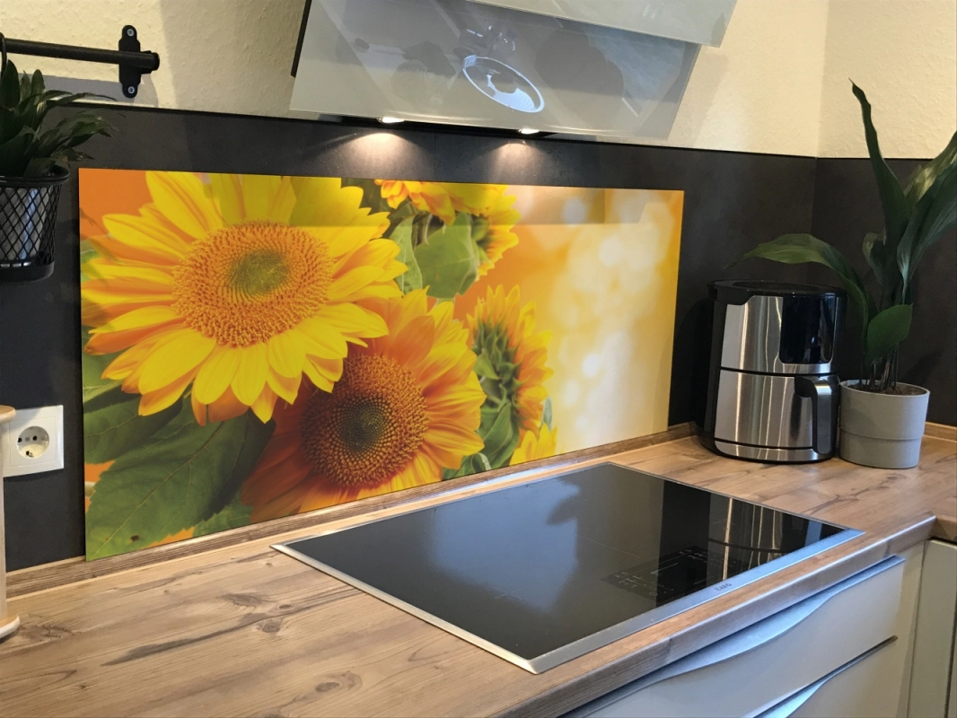 Spritzschutz Küche Acrylglas Sonnenblume