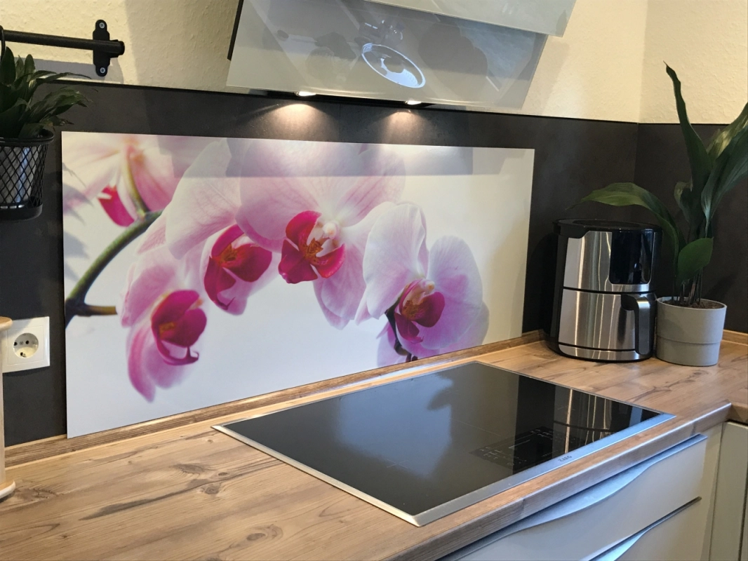 Spritzschutz Küche Acrylglas Orchidee