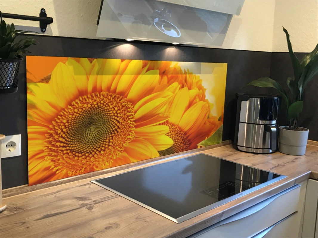 Spritzschutz Küche Acrylglas Sonnenblumen