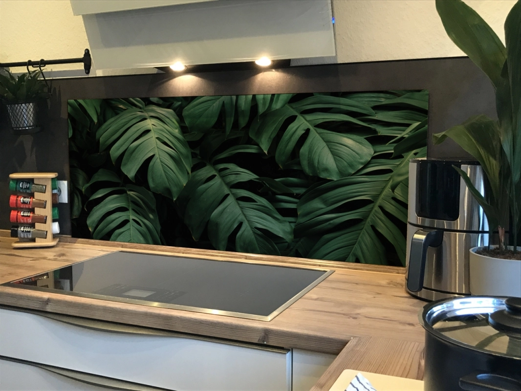 Spritzschutz Küche Acrylglas Monstera Blätter