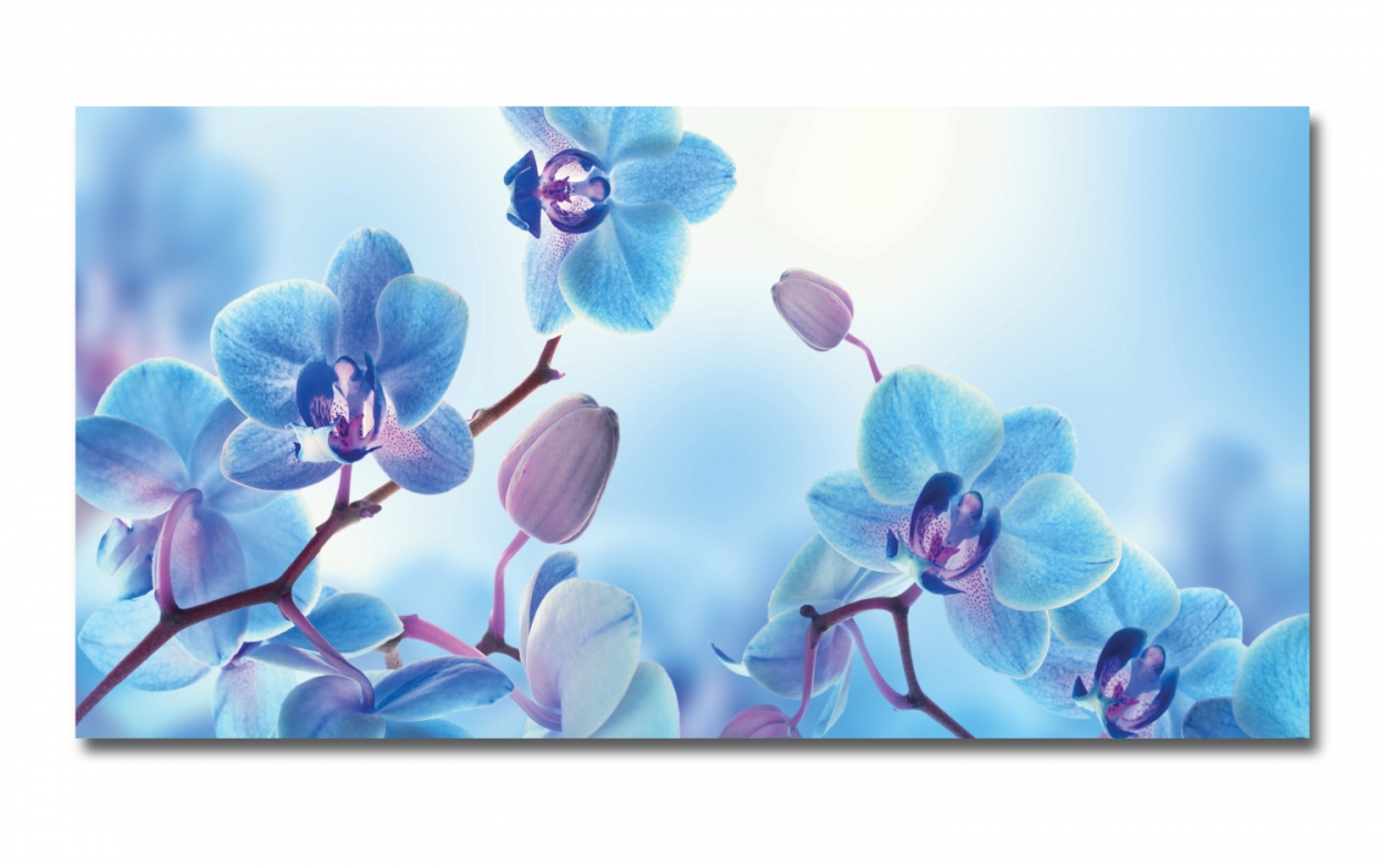 Spritzschutz Küche Blaue Orchideen