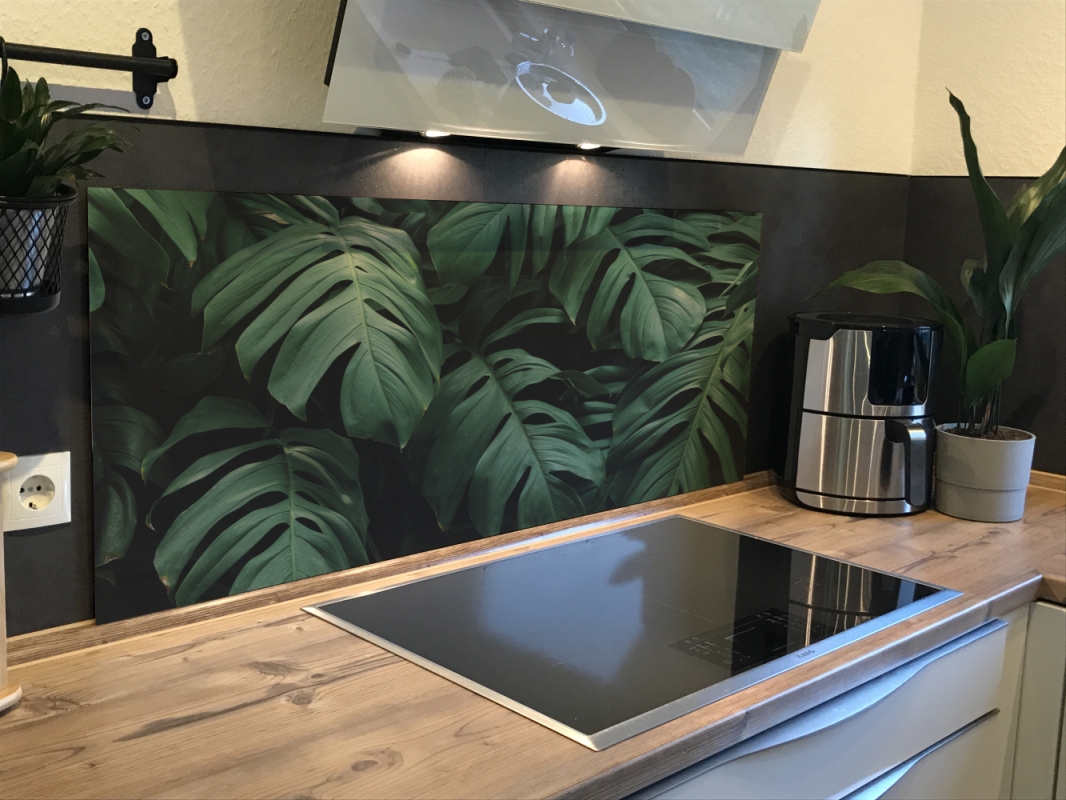 Spritzschutz Küche Acrylglas Monstera Blätter