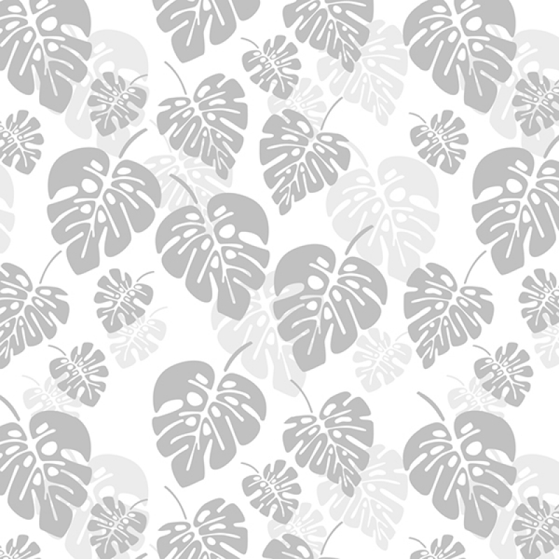 Spritzschutz Küche Acrylglas Grau Monstera