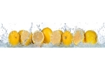 Küchenrückwand Aluverbund Zitronen Splash